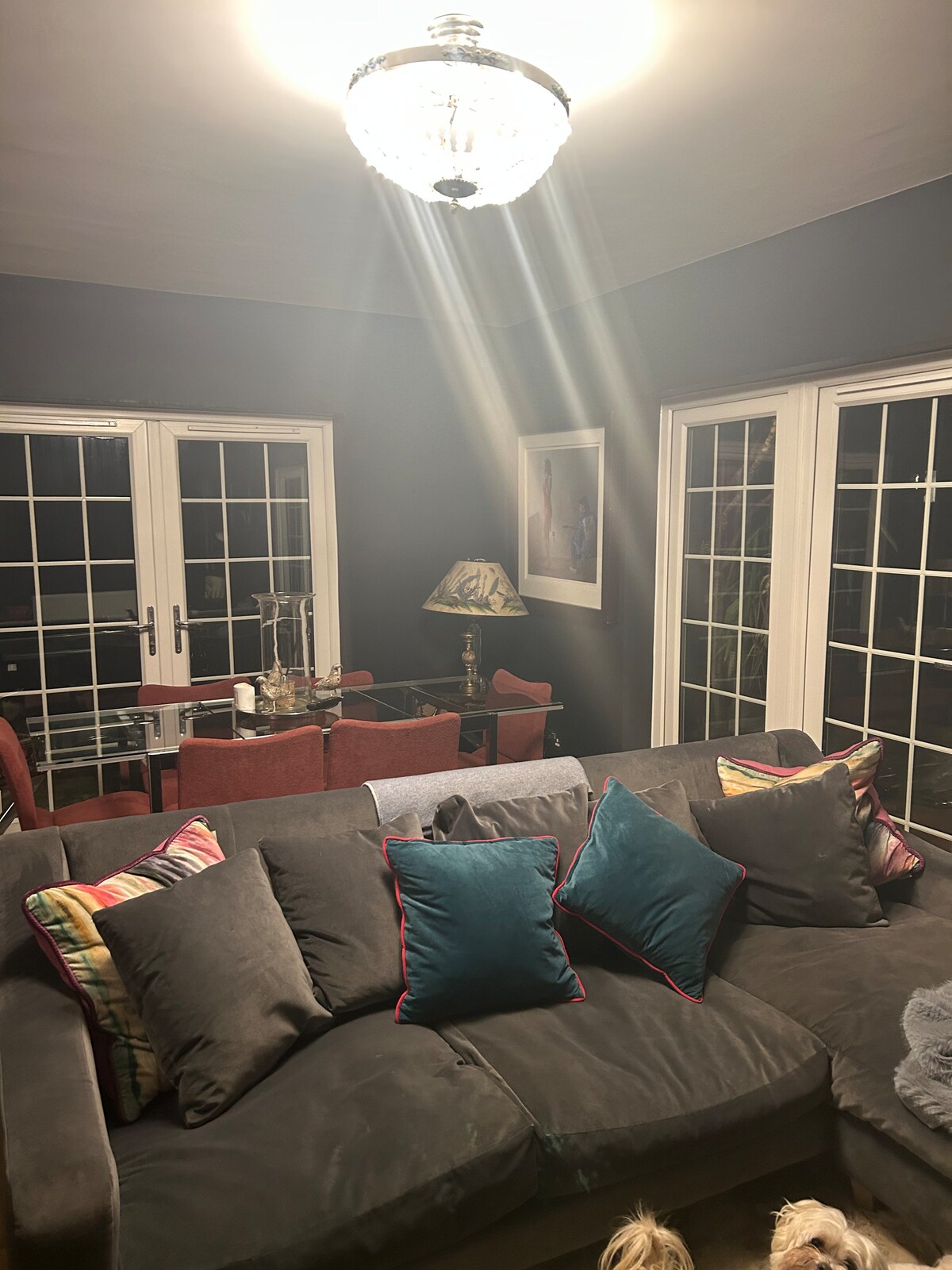 Friendly relaxed room