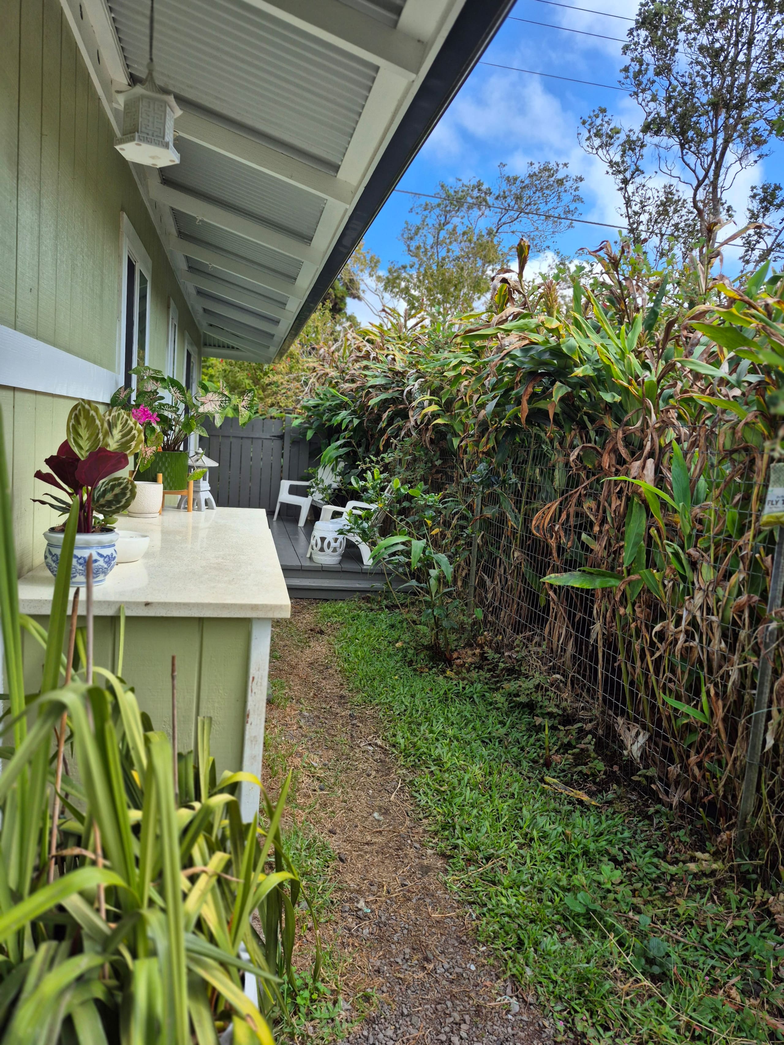 Home in Volcano · ★4.87 · 2 bedrooms · 3 beds · 1 bath - Image 38