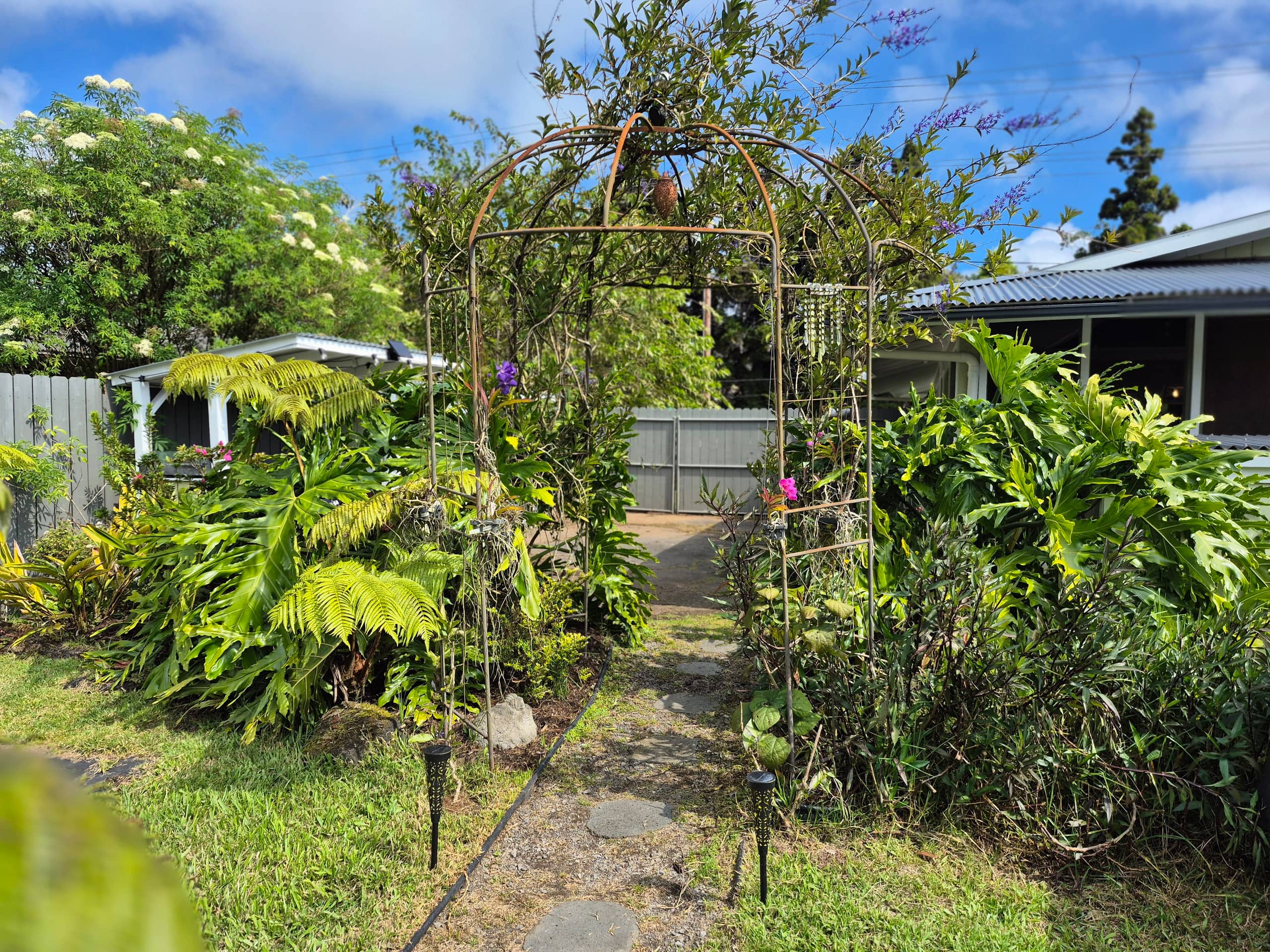 Home in Volcano · ★4.87 · 2 bedrooms · 3 beds · 1 bath - Image 21
