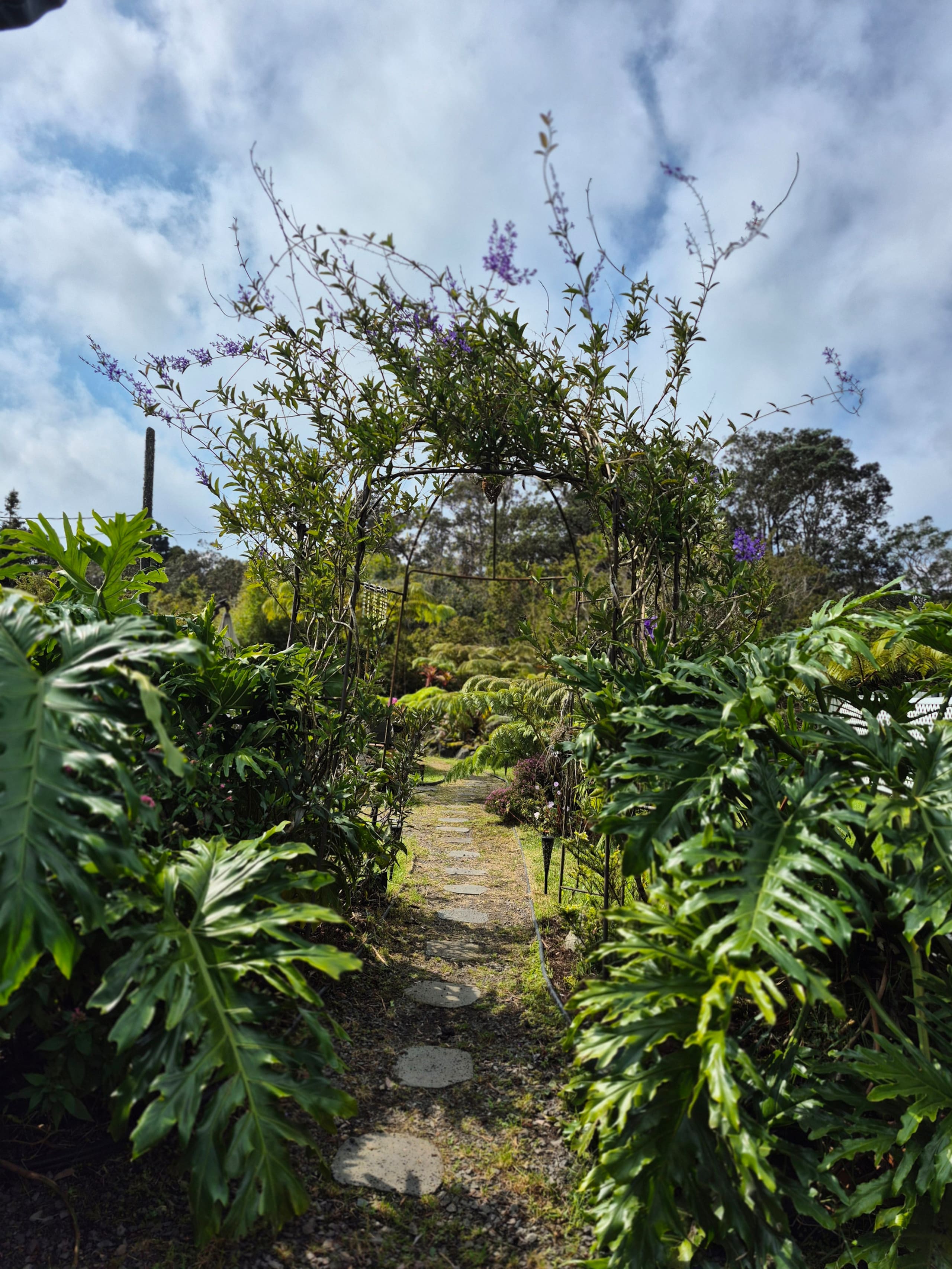 Home in Volcano · ★4.87 · 2 bedrooms · 3 beds · 1 bath - Image 33