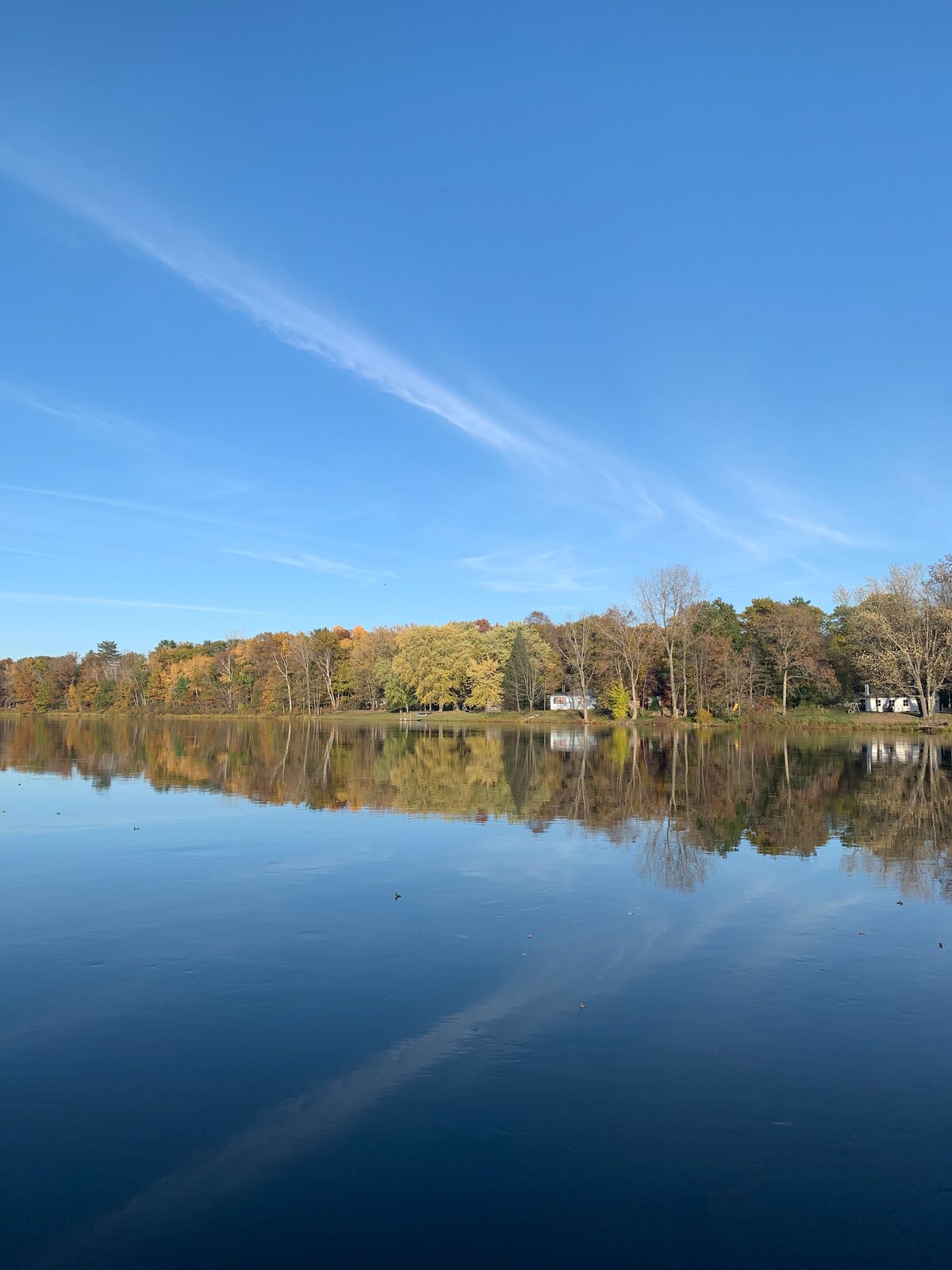 A tranquil river scene is captured, showcasing calm waters reflecting the vibrant autumn foliage along the shoreline. Clear blue skies are visible above, enhancing the natural beauty of the landscape. The colors of the trees create a serene atmosphere, complementing the peaceful setting.