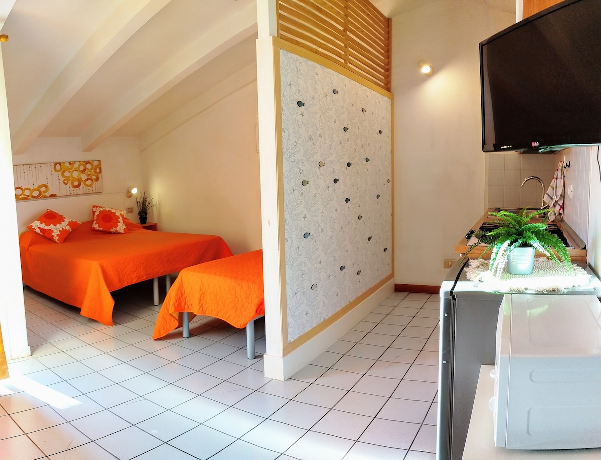 The sleeping area features two beds, one spacious and one smaller, both covered in vibrant orange bedspreads. A decorative partition enhances the space's layout. A television is mounted on the wall near a small kitchenette, which includes a microwave and a potted plant for added detail.