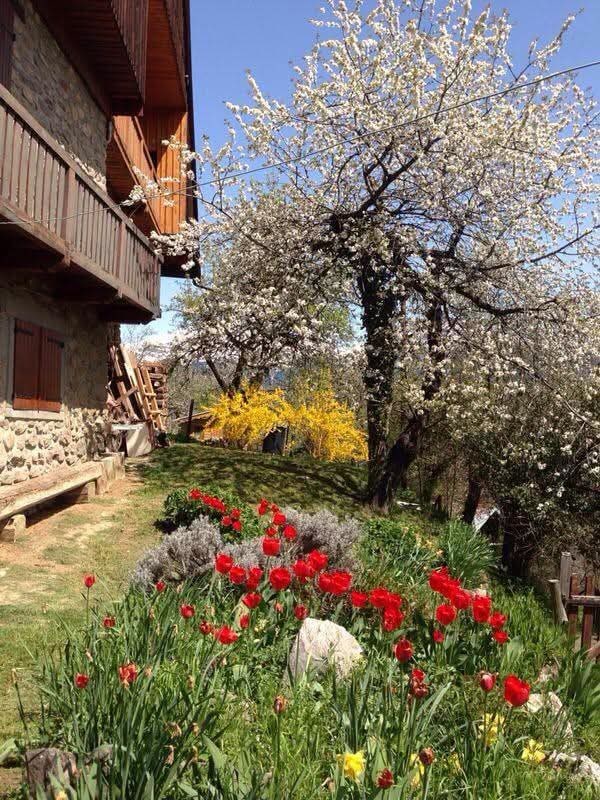 A charming garden is visible in front of a stone building, featuring vibrant red tulips and blooming yellow flowers. Lush green grass surrounds the flowerbeds, while trees in full bloom provide a serene atmosphere. Natural beauty adds to the welcoming outdoor space.