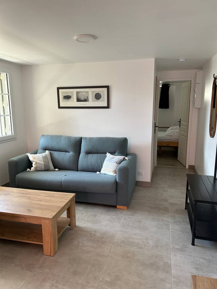Appartement Lumineux Avec Terrasse - Saint-Trojan-les-Bains