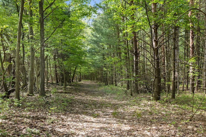 7 Pines Lodge - Cabins for Rent in Prattsburgh, New York, United