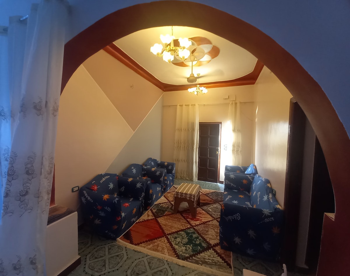 A living area features a cluster of blue patterned sofas arranged around a central wooden table. A colorful rug covers the floor, while large windows are adorned with light sheer curtains, allowing natural light to fill the room.