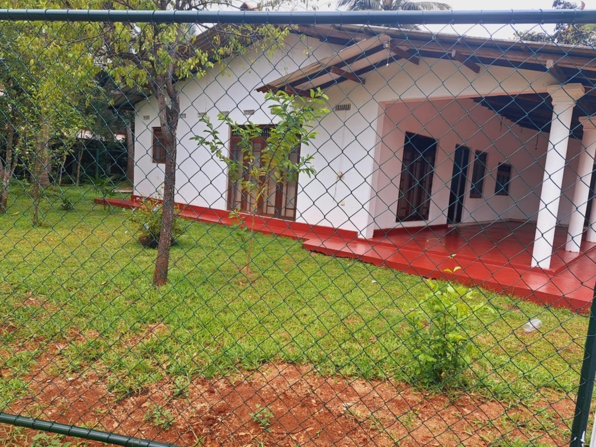 A serene exterior view of a charming white house is presented, framed by a green fence. The lush lawn is visible in the foreground, with a rich texture of foliage and soft brown earth. The house features a red-tiled porch and multiple large windows allowing light into the interior.