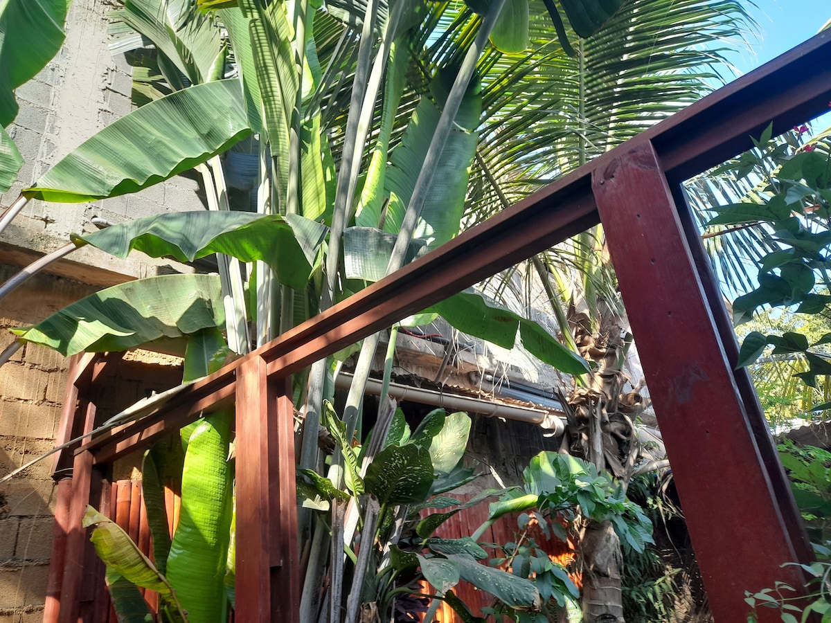Lush tropical plants surround a wooden structure in a garden setting, with tall palms and vibrant greenery creating a natural canopy. Sunlight filters through the leaves, casting dappled shadows on the ground.