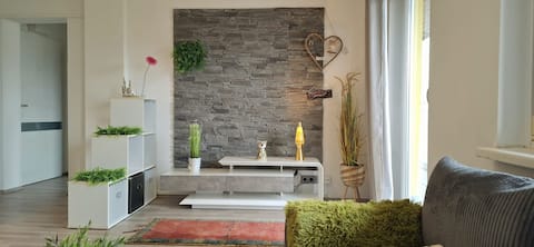 Successful Airbnb property: Urban Stay; central and charming in Andritz