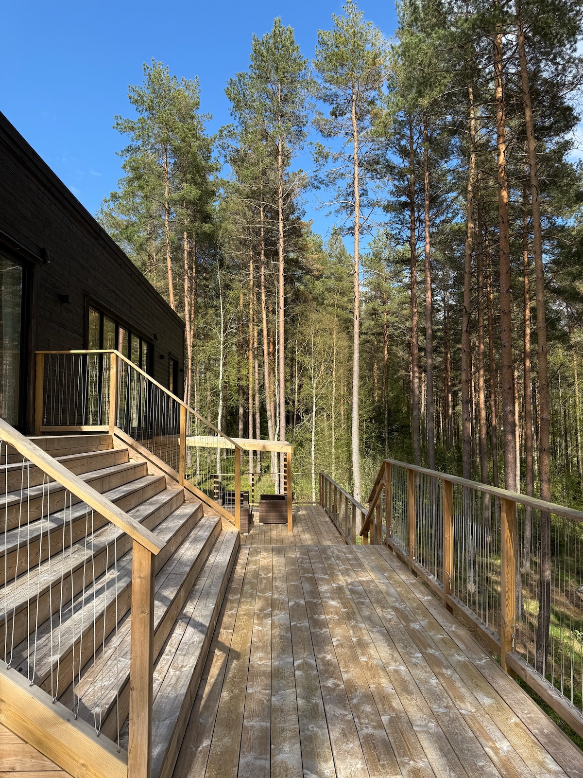 A wooden deck is seen extending from the house, featuring steps leading down surrounded by tall trees. The spacious area is highlighted by a railing, allowing for an unobstructed view of the lush greenery and dappled sunlight filtering through the branches.