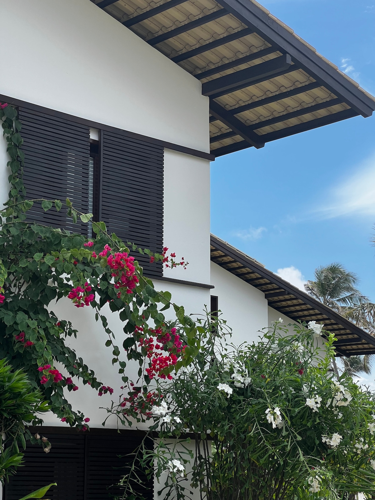 The exterior of a modern building is highlighted by vibrant bougainvillea and white flowers. Dark wooden shutters contrast with the light-colored walls under a tiled roof. A clear blue sky and palm trees are visible in the background, enhancing the tropical ambiance.