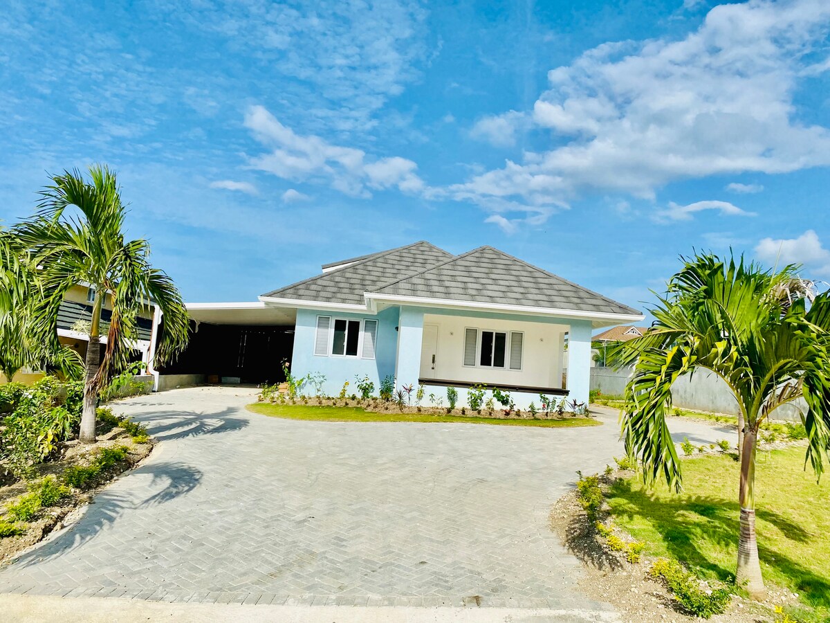 A single-story house is surrounded by a well-maintained landscape featuring greenery and low shrubs. The structure is painted in light blue with a gray roof. A paved driveway leads to the entrance, providing access to the covered parking area adjacent to the home.
