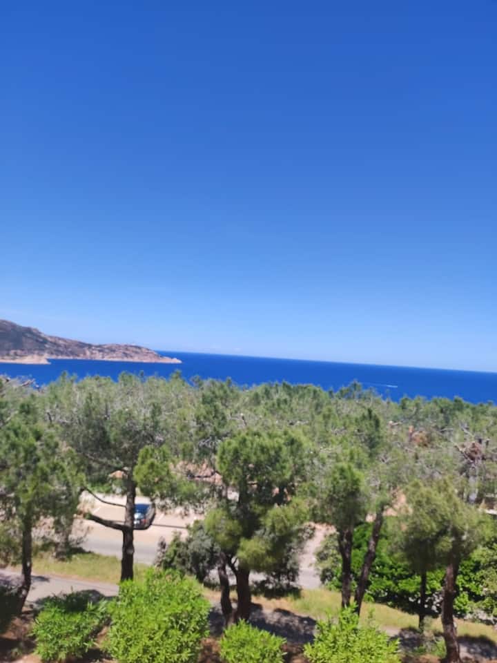 Appartement, Vue Mer, Climatisé - Calvi