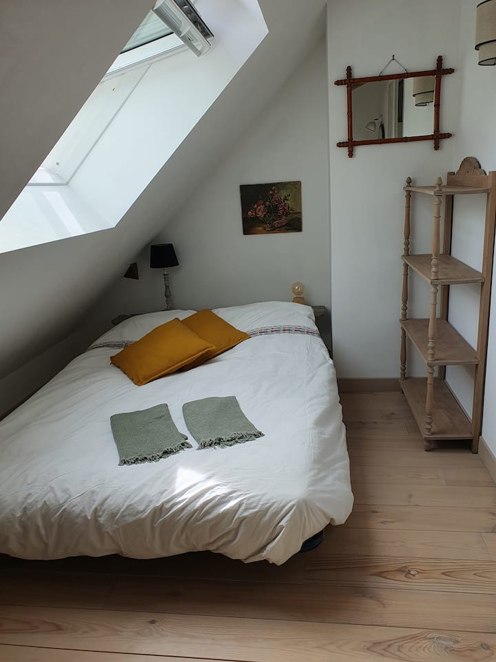 Quarto 5