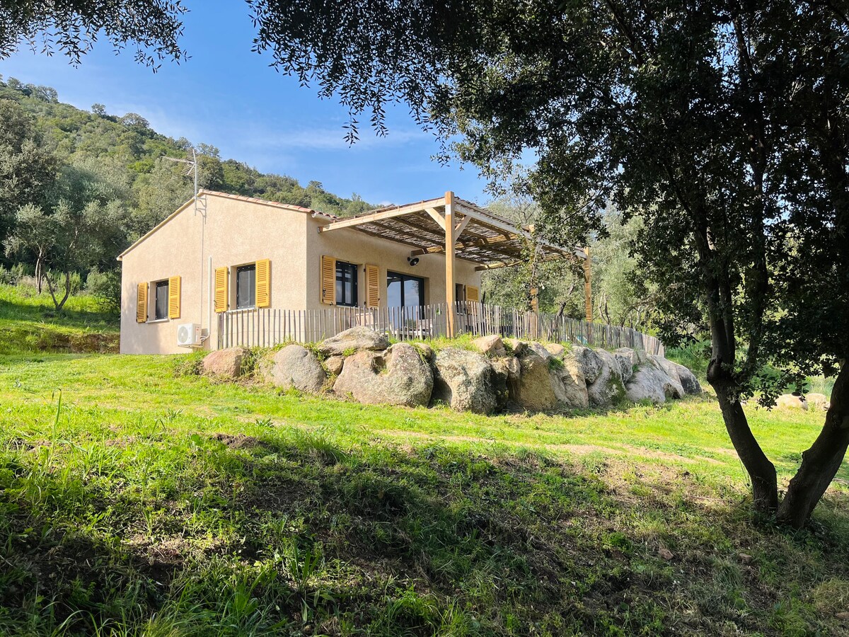 A tranquil single-story cottage is set against a lush green hillside, surrounded by olive trees. The exterior features light-colored walls, yellow shutters, and a porch area with a wooden roof providing shade. Large boulders and a grassy expanse are visible in the foreground.