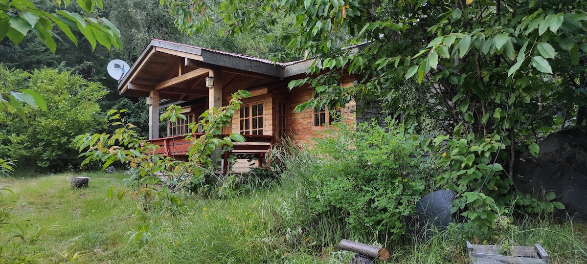 A wooden cabin is surrounded by lush greenery, with large windows inviting natural light. A porch area is visible, offering a place to enjoy the outdoors. The natural landscape includes various plants and stones, contributing to a serene atmosphere.