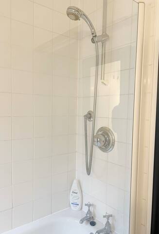 City Centre Green haven. 2 bed/2bth loft gallery image 5