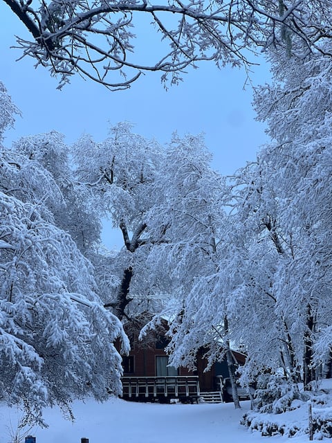 Rustic cabin in Valle Las Trancas, Chillán