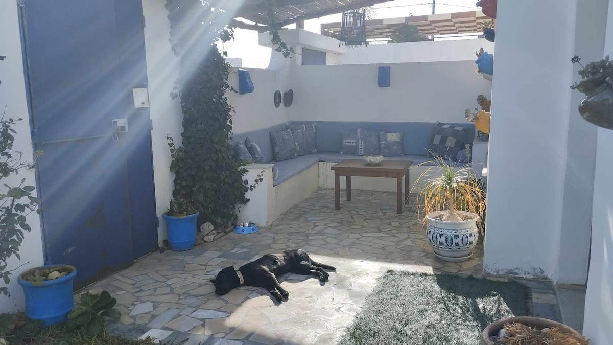 A private outdoor area features a stone-paved floor, with a cozy seating arrangement along a wall and a wooden table in the center. Potted plants add greenery, and sunlight streams through the space, highlighting a black dog resting on the grass.