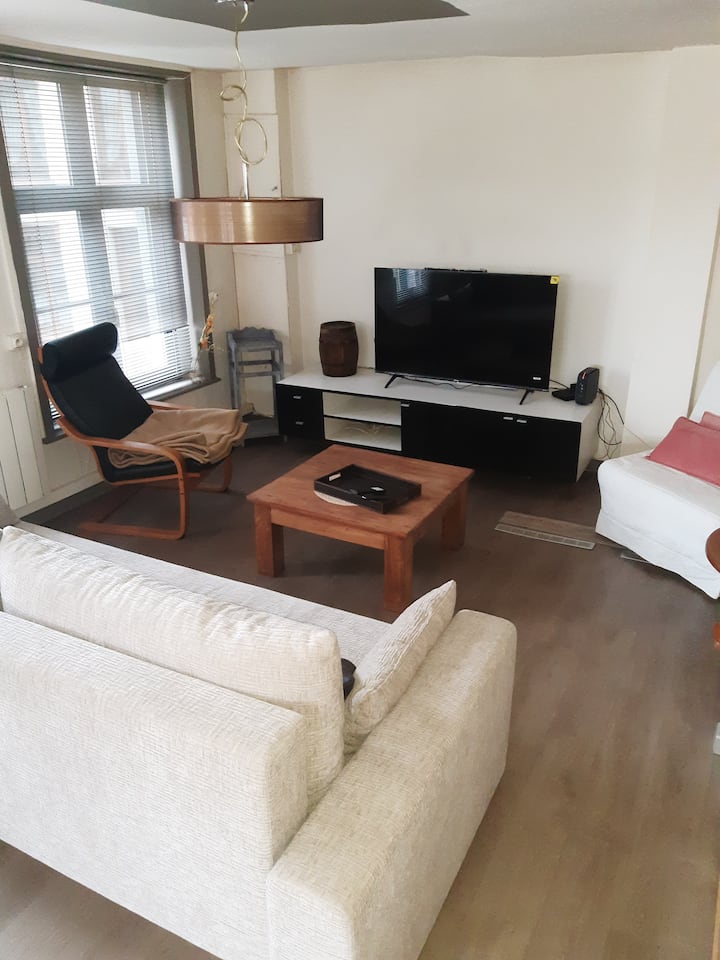 The living room is equipped with a 2-person sofa bed
