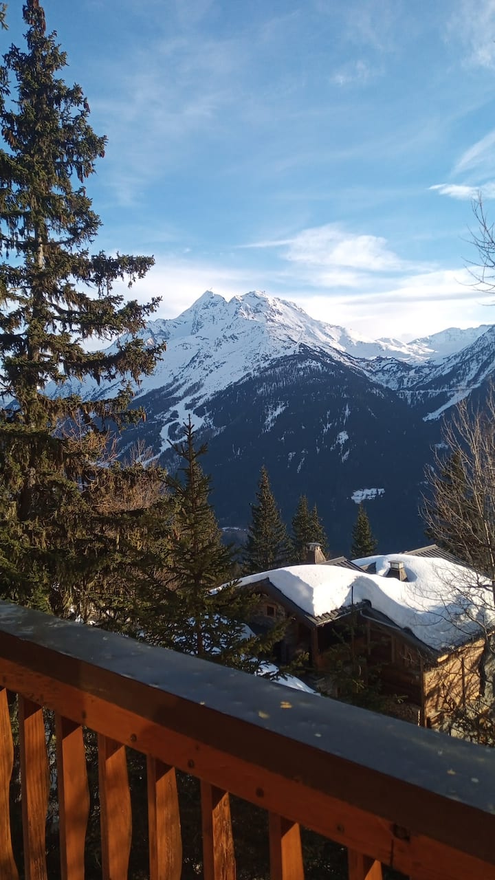 Chalet à Louer En Station - La Rosière