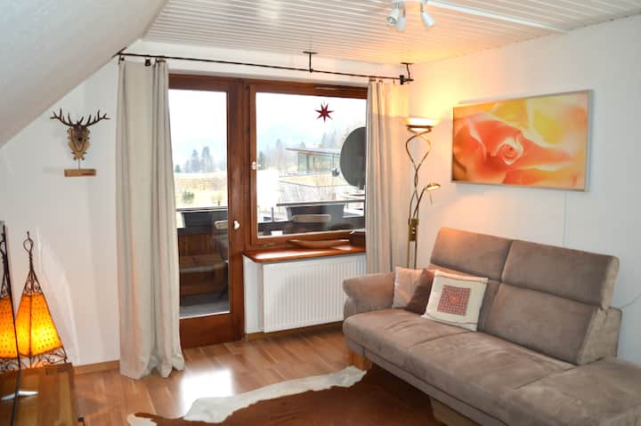 Ferienhausalbmatte-ruhige Wohnung-großer Garten - Menzenschwand