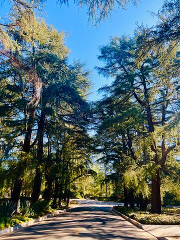 Stylish home in GREAT location gallery image 2