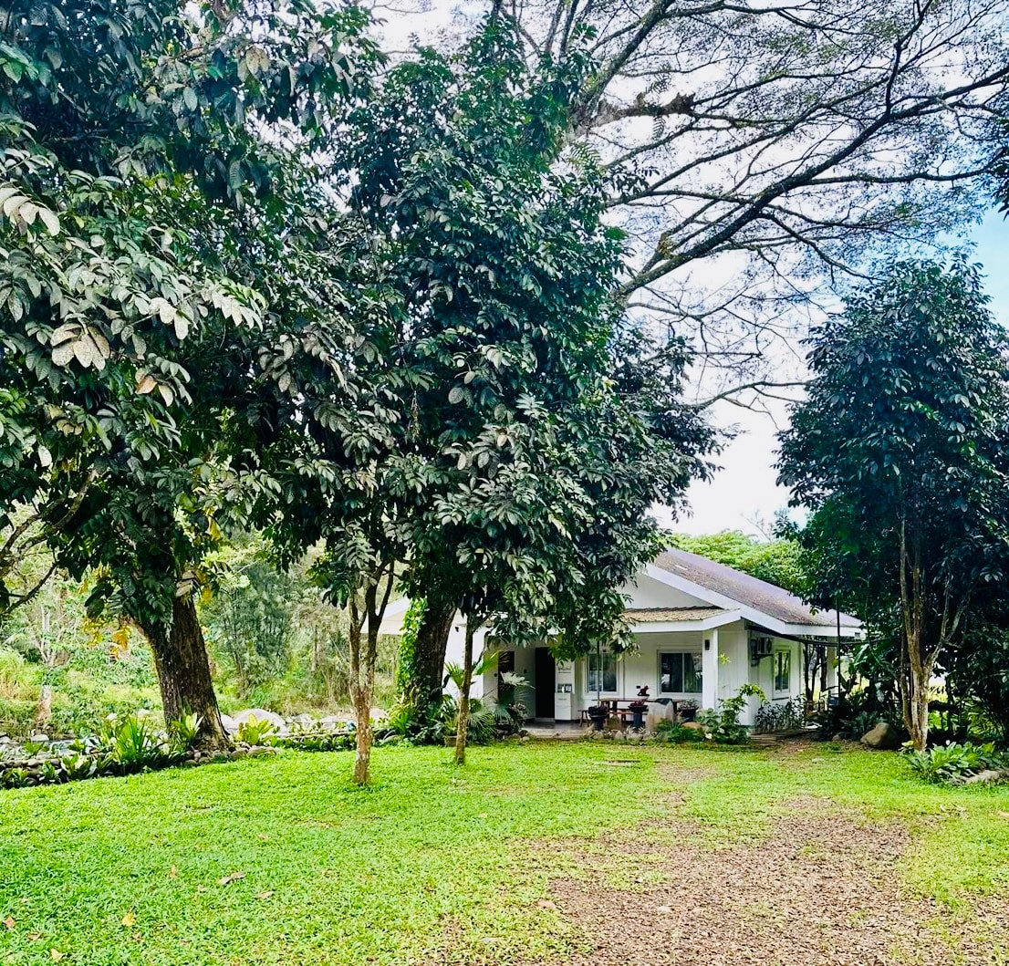 A charming house is nestled among lush green trees, with a well-manicured lawn leading up to its entrance. The exterior features a light-colored façade and a covered front porch that overlooks a serene garden area.