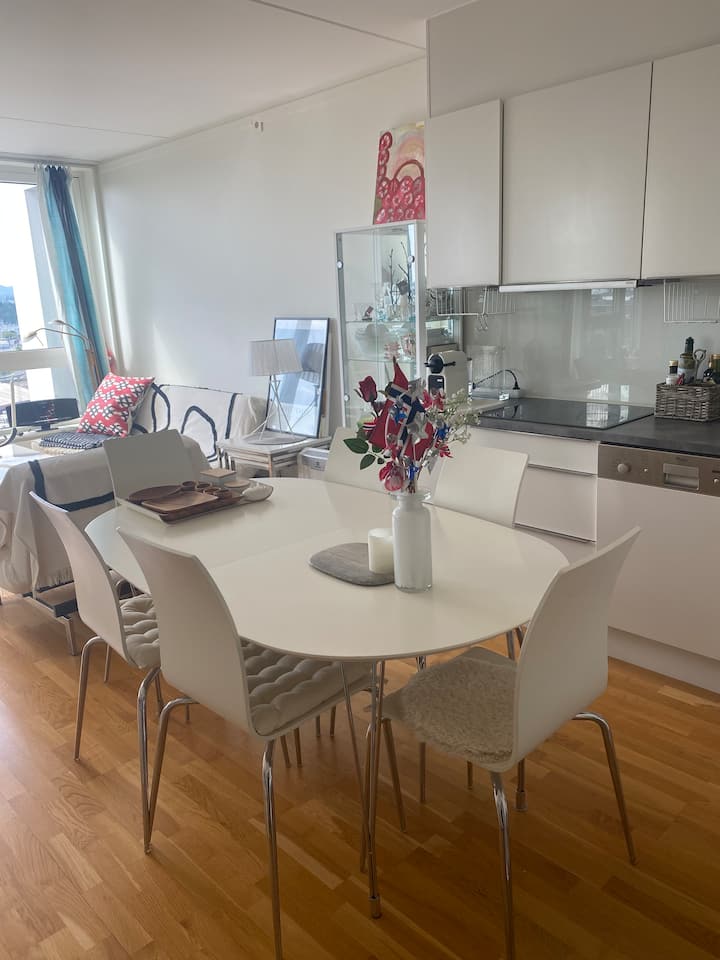 Cozy Apt W/balcony/view In Oslo Sentrum/tjuvholmen - Oslo
