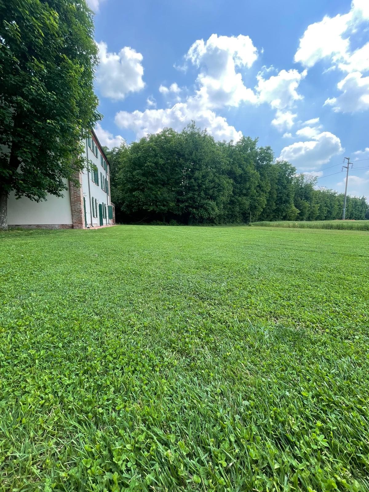 A spacious green lawn is visible, bordered by tall trees that provide shade. The white building with green shutters can be seen to the left against a backdrop of a clear blue sky with scattered clouds.