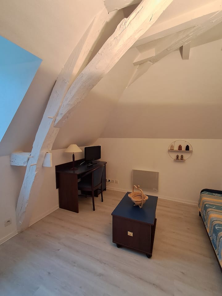 Appartement Muguet- Idéal Curiste - La Roche Posay - La Roche-Posay