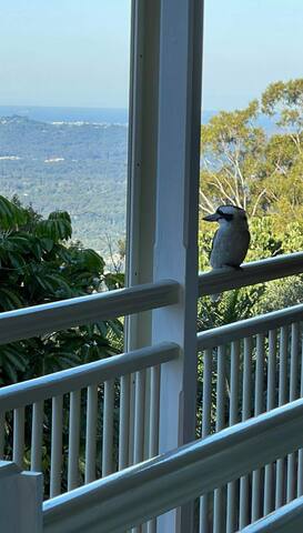 ‘Emirau’ Montville Hinterland gallery image 3