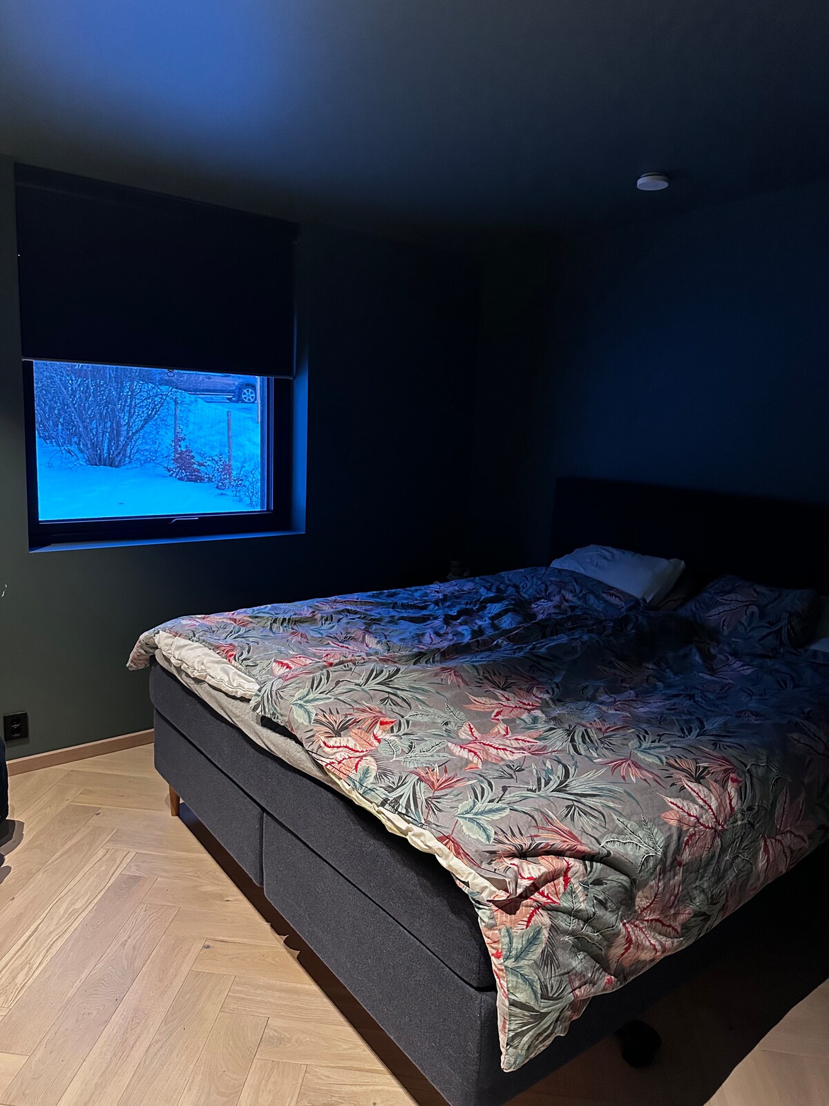 საძინებელი 1