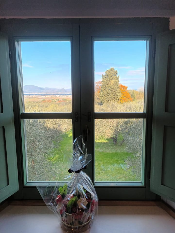 Porzione Di Casa Colonica - Signa