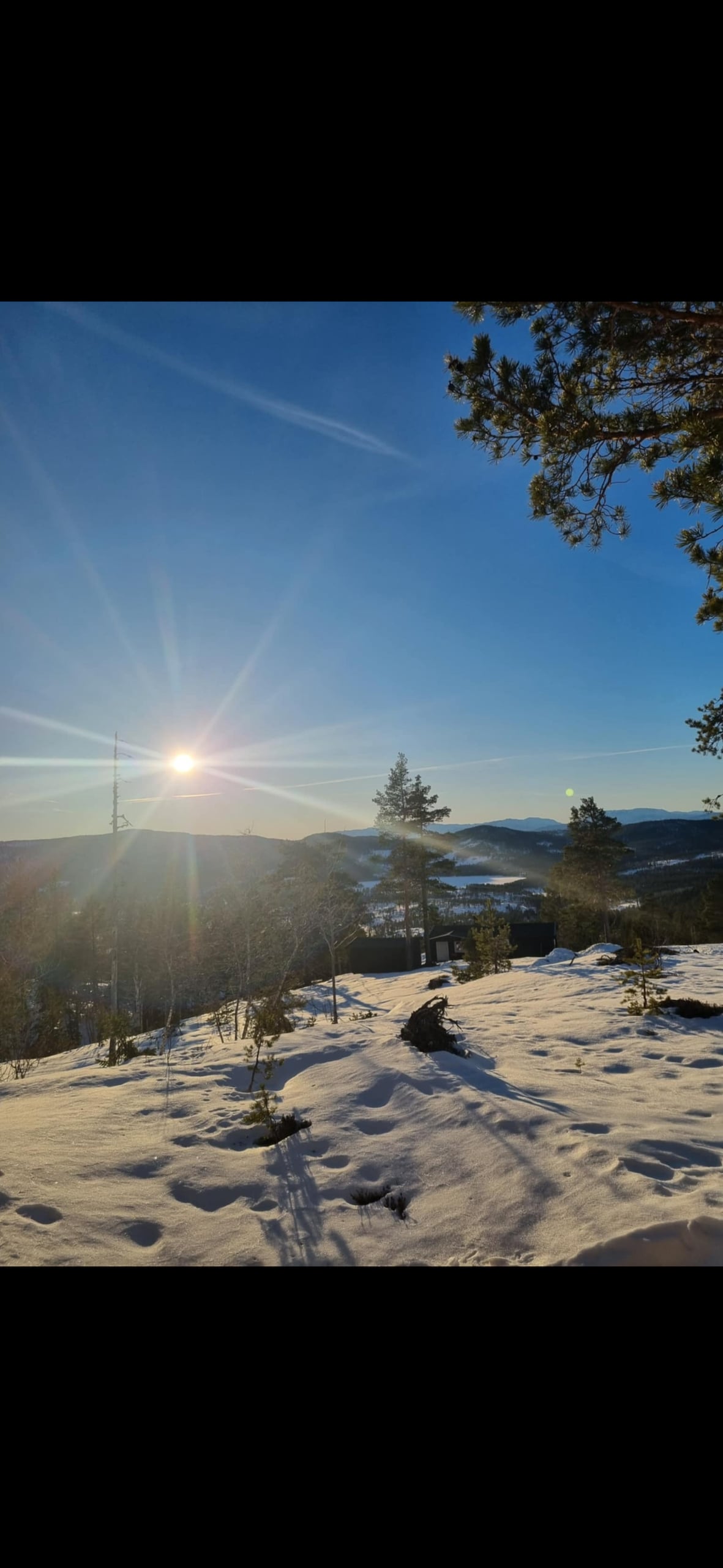 A winter landscape is captured with soft snow covering the ground, illuminated by bright sunlight. Trees are visible in the foreground, casting long shadows across the snow. The distant mountains are seen under a clear blue sky, creating a serene and calm atmosphere.