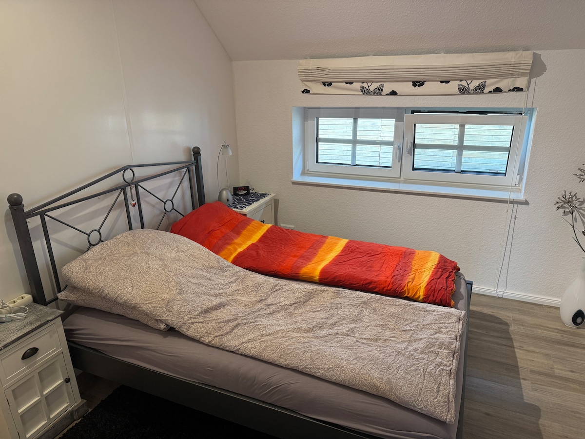 Por supuesto, se incluye un edredón grande con fundas extragrandes...