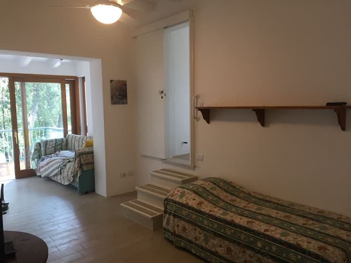 מיטת יחיד עם מיטה נפתחת שנייה שיכולה להפוך למיטה זוגית או שתי מיטות יחיד