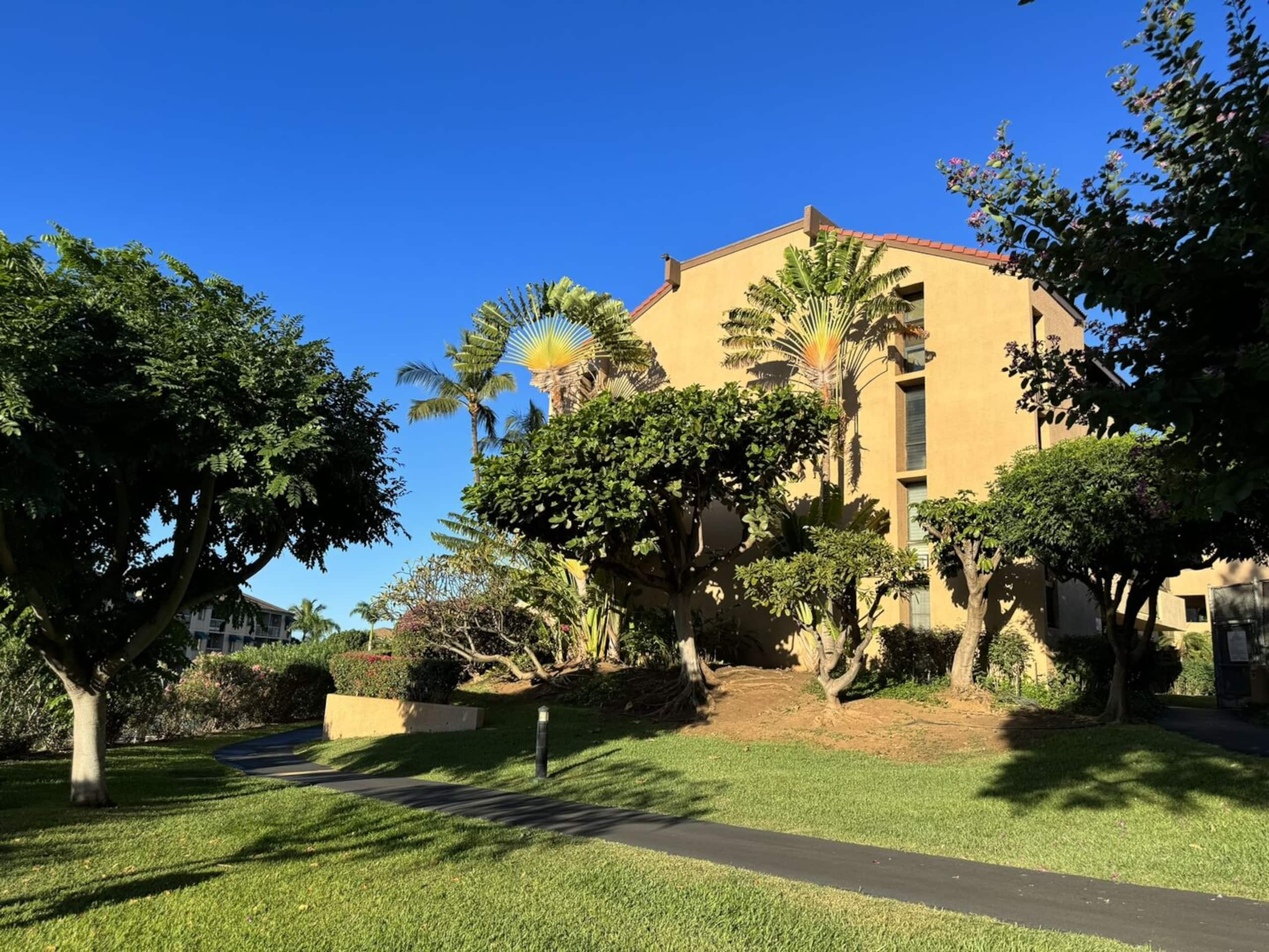 Condo in Kihei · ★4.89 · 1 bedroom · 2 beds · 1 bath - Image 36
