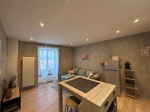 Airbnb performant: 2-room apartment à Lons Le Saunier