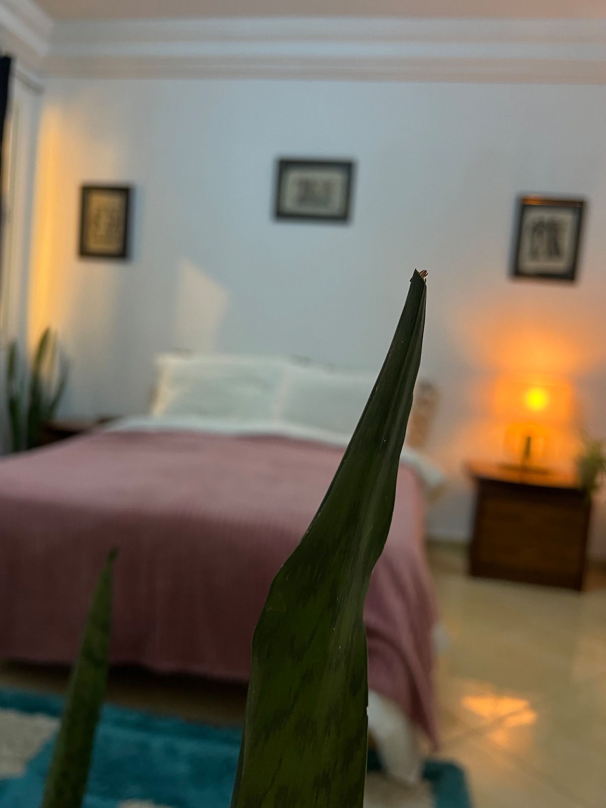 Rental unit in Casablanca  464  2 bedrooms  2 beds  15 shared baths - image 2