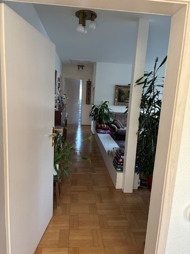 Großräumige Gemütliche Wohnung - Königstein im Taunus