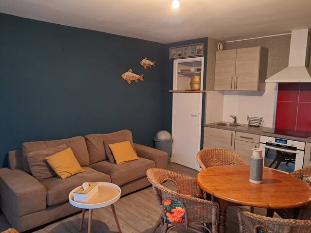 Entire home with 1 bedrooms in Montreuil - appartement face aux Dunes