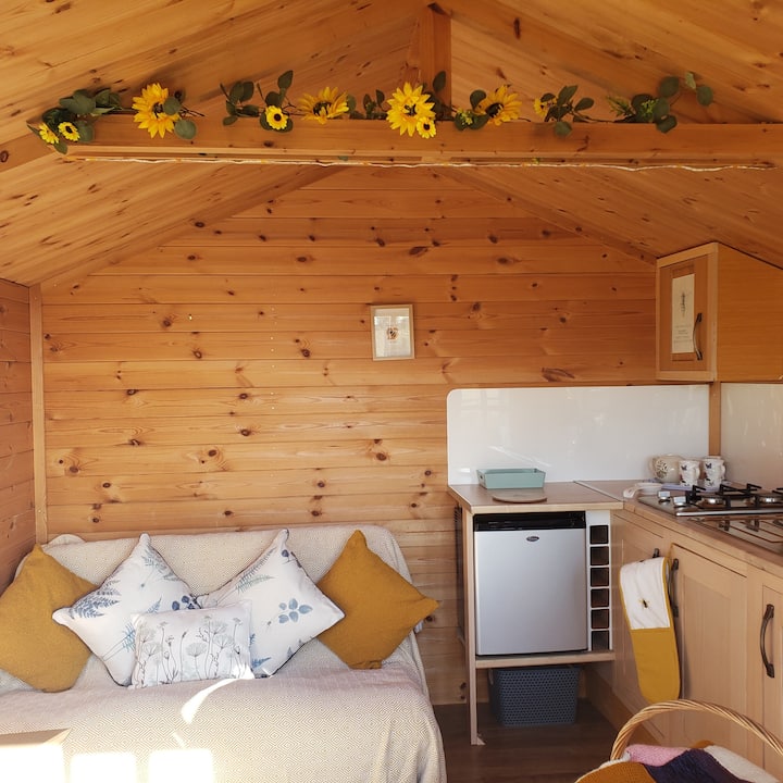 The Hive Amongst The Piggies - Norfolk