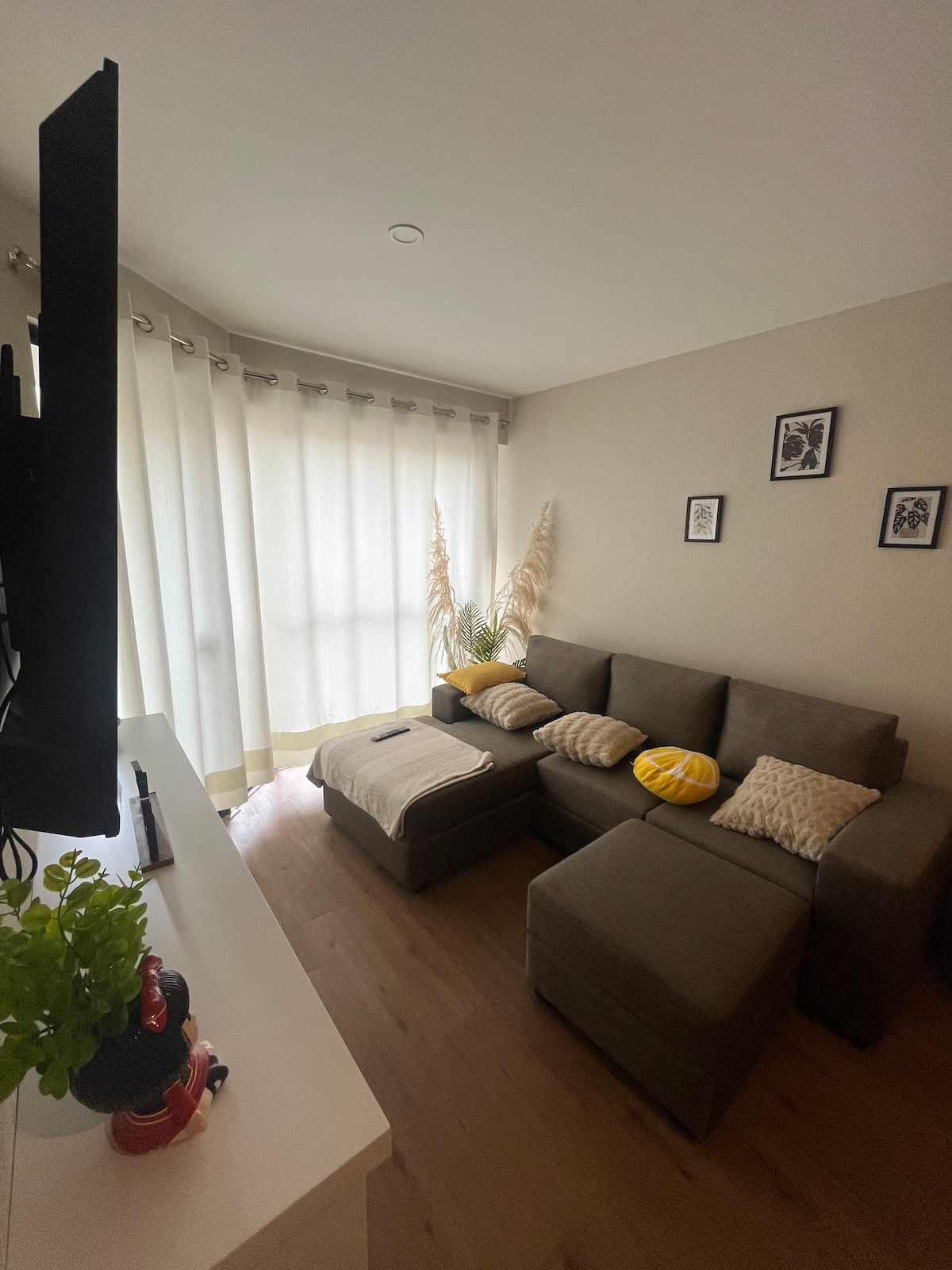 A cozy living area is featured, showcasing a sectional sofa adorned with decorative pillows. A television is mounted on the opposite wall. Natural light enters through sheer curtains, and potted plants add a touch of greenery, creating a relaxing environment.