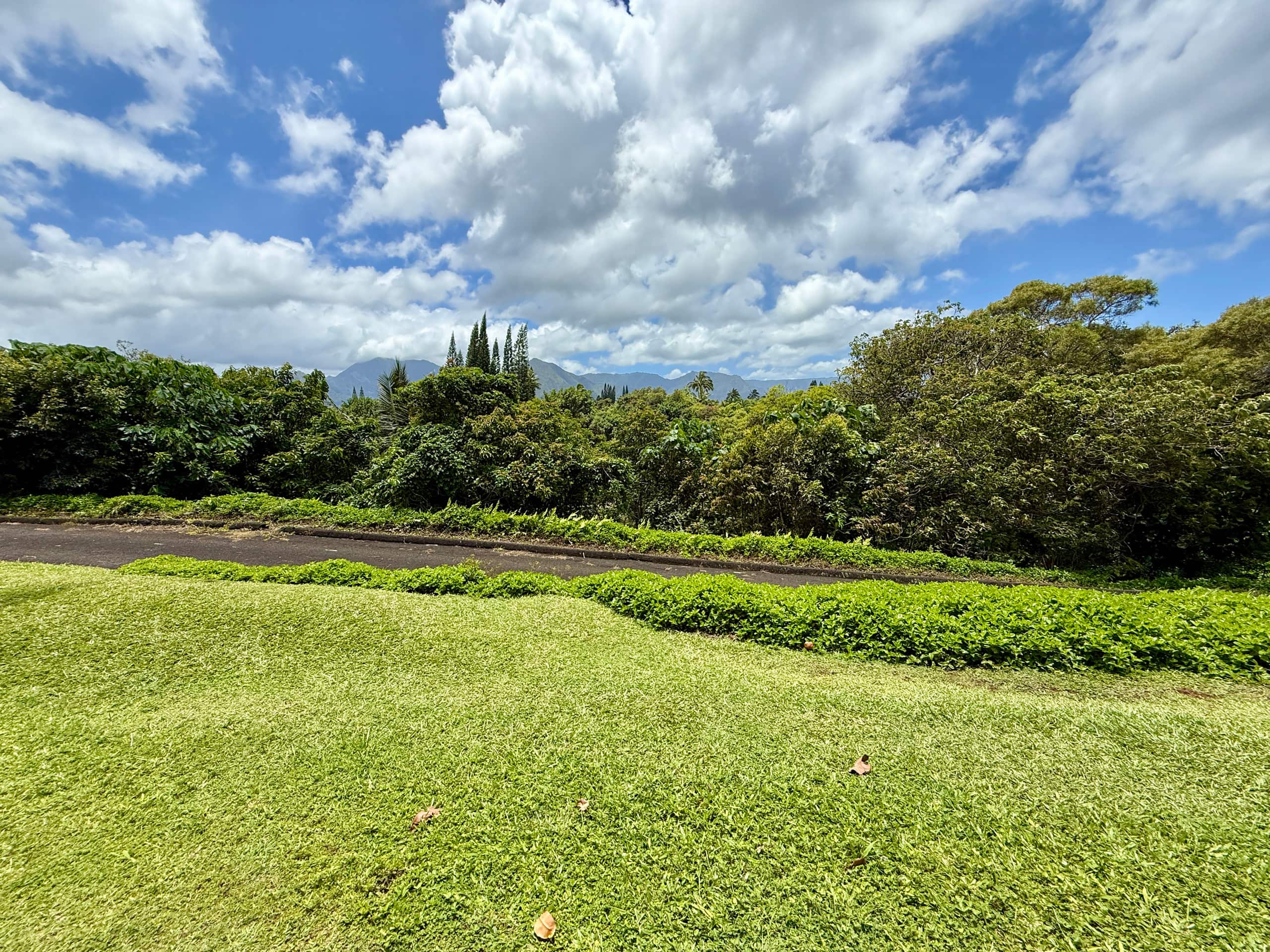 Lilikoi Landing - Image 26