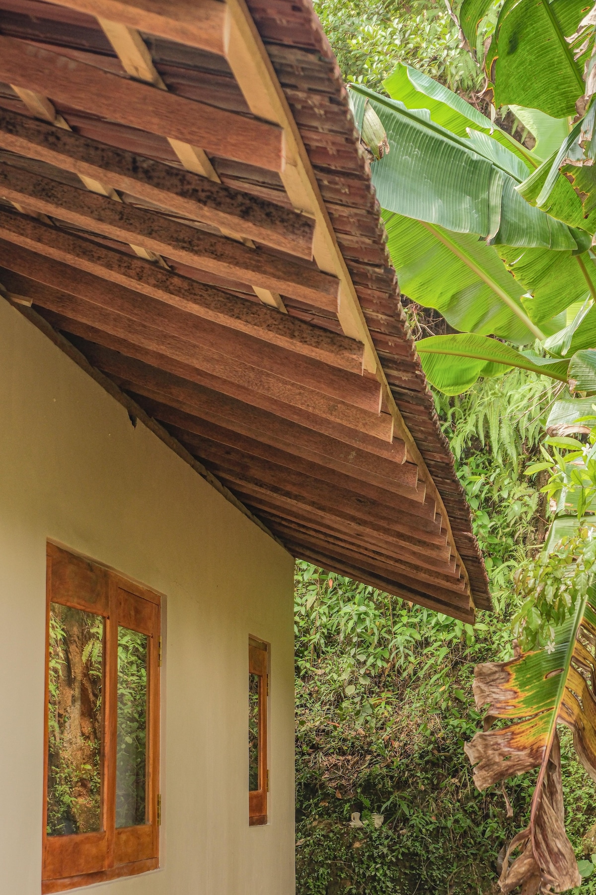 A side view of the villa is presented, showcasing a rustic wooden roof with overhanging eaves. The smooth exterior wall features two wooden-framed windows, while lush greenery and banana leaves surround the structure, enhancing the natural setting.