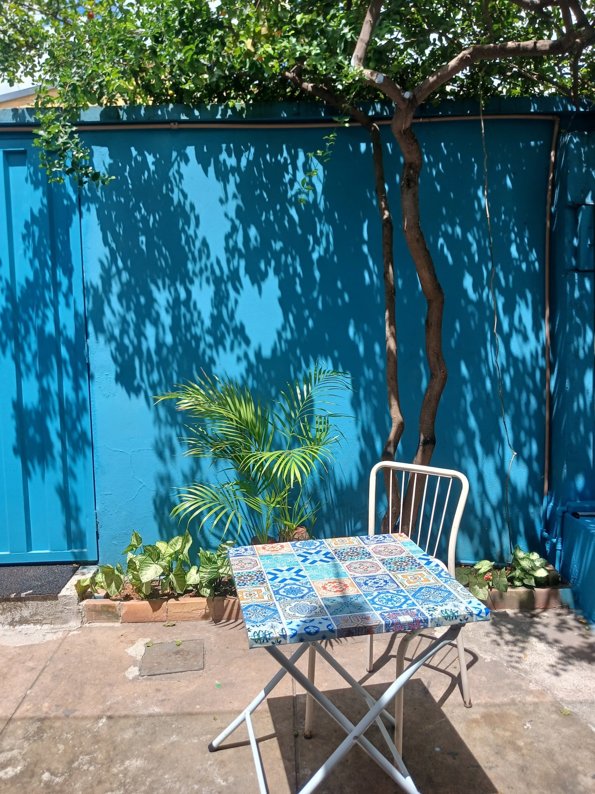 A small outdoor space is depicted, featuring a white folding chair and a table with a patterned surface. A vibrant blue wall serves as a backdrop, while shadows from the surrounding greenery create a calming atmosphere.