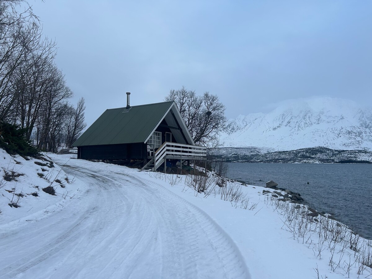 A charming cabin is situated near a snow-covered shore, framed by trees and mountains in the background. A sloped roof and wide deck are visible, enhancing the serene landscape. The path leading to the cabin is marked by recent tire tracks in the snow.