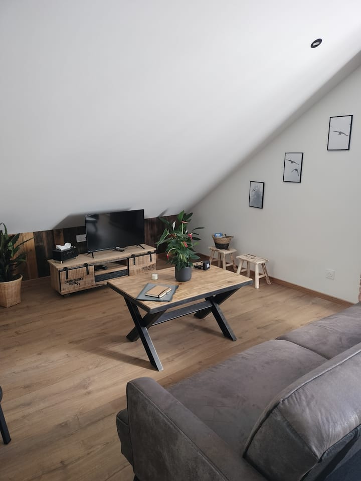 Appartement "Le Grenier D'oscar" - Vogesen