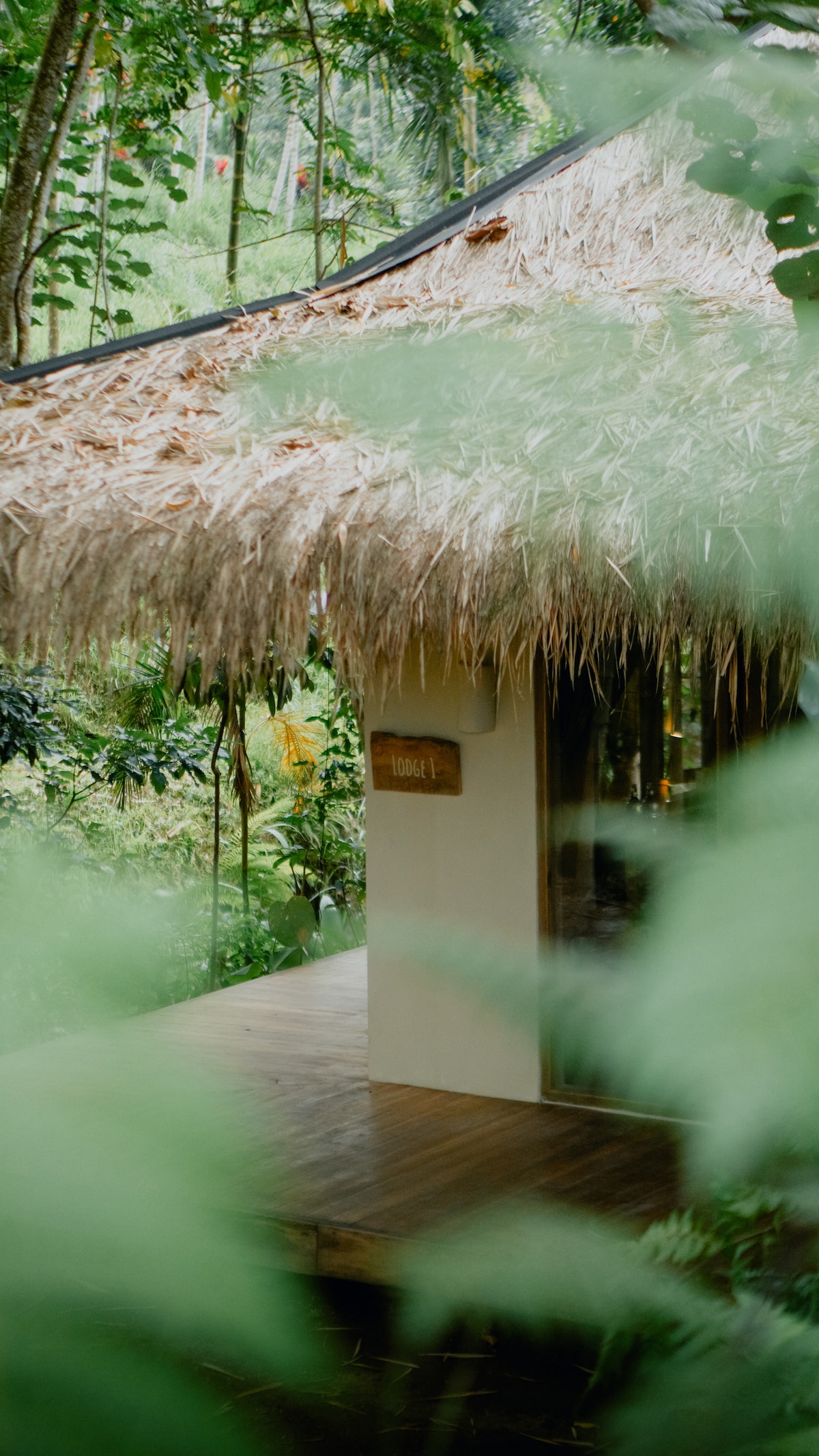 A thatched-roof bungalow is partially visible through lush greenery. The structure features a wooden deck, blending harmoniously with the surrounding nature. Soft light filters through the leaves, creating a serene atmosphere hinting at the tranquil setting of Mata Lodge.